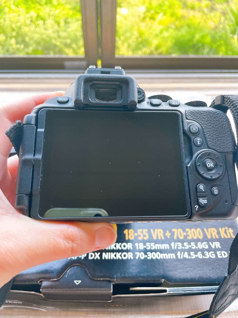 Nikon D5600 本体＋単焦点レンズセット　レンズにカビあり