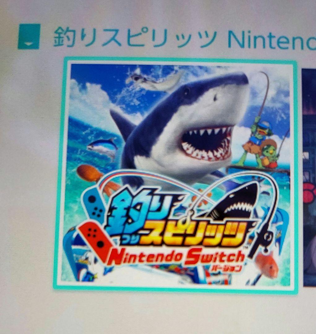 スイッチ　釣りスピリッツ　12枚セット