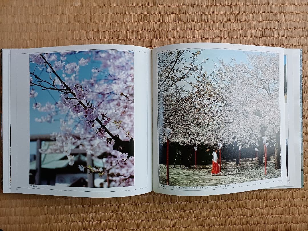 ✳️入手困難・当時もの✳️値下げ相談歓迎✳️写真集『靖国神社』1986年刊