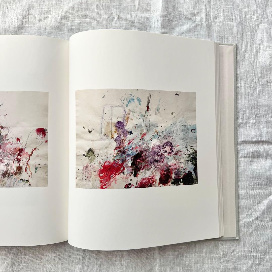 サイ・トゥオンブリーの写真 変奏のリリシズム　Cy Twombly