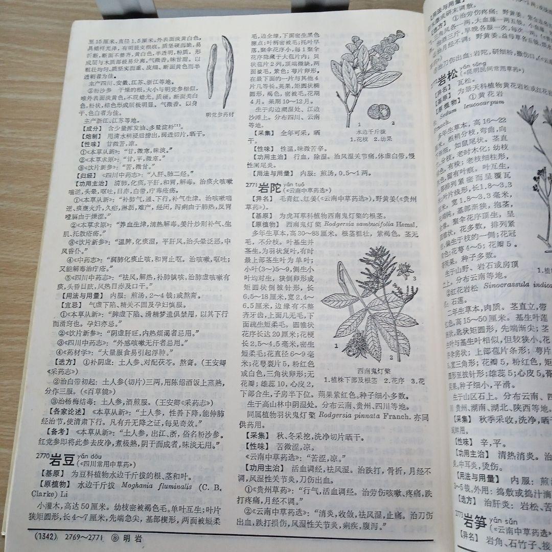 中薬大辞典　上下冊セット