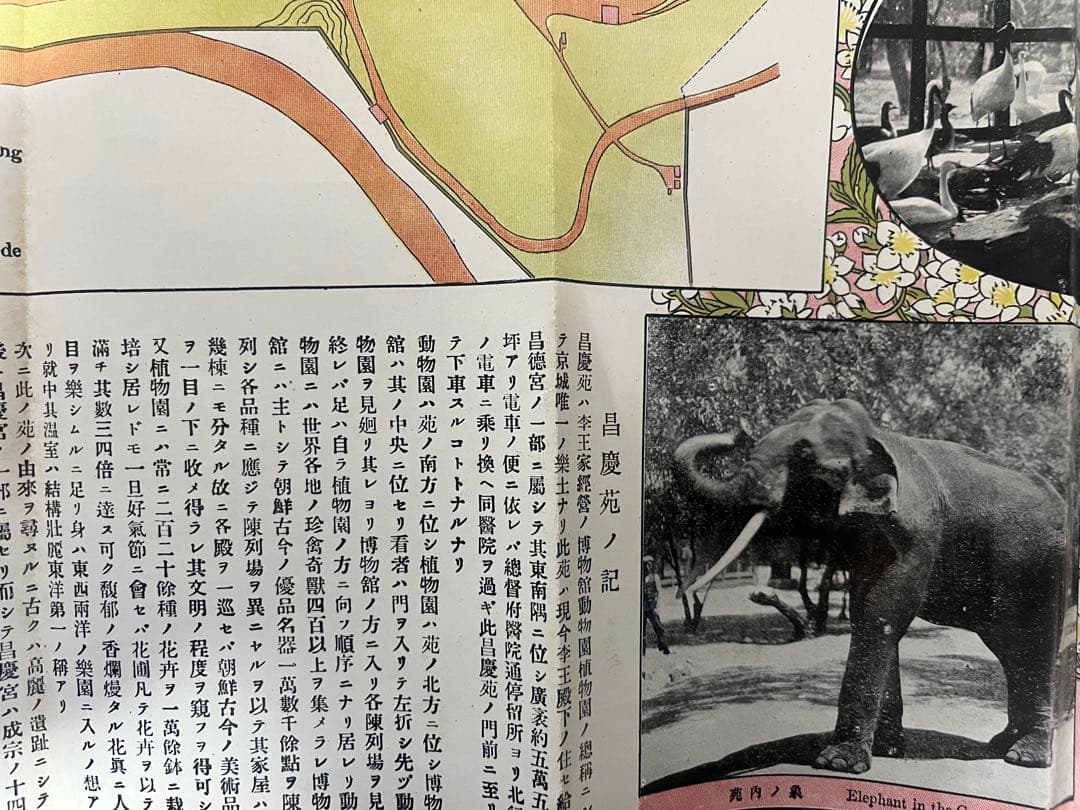 昌慶苑案内記 朝鮮 李王職 大正？年