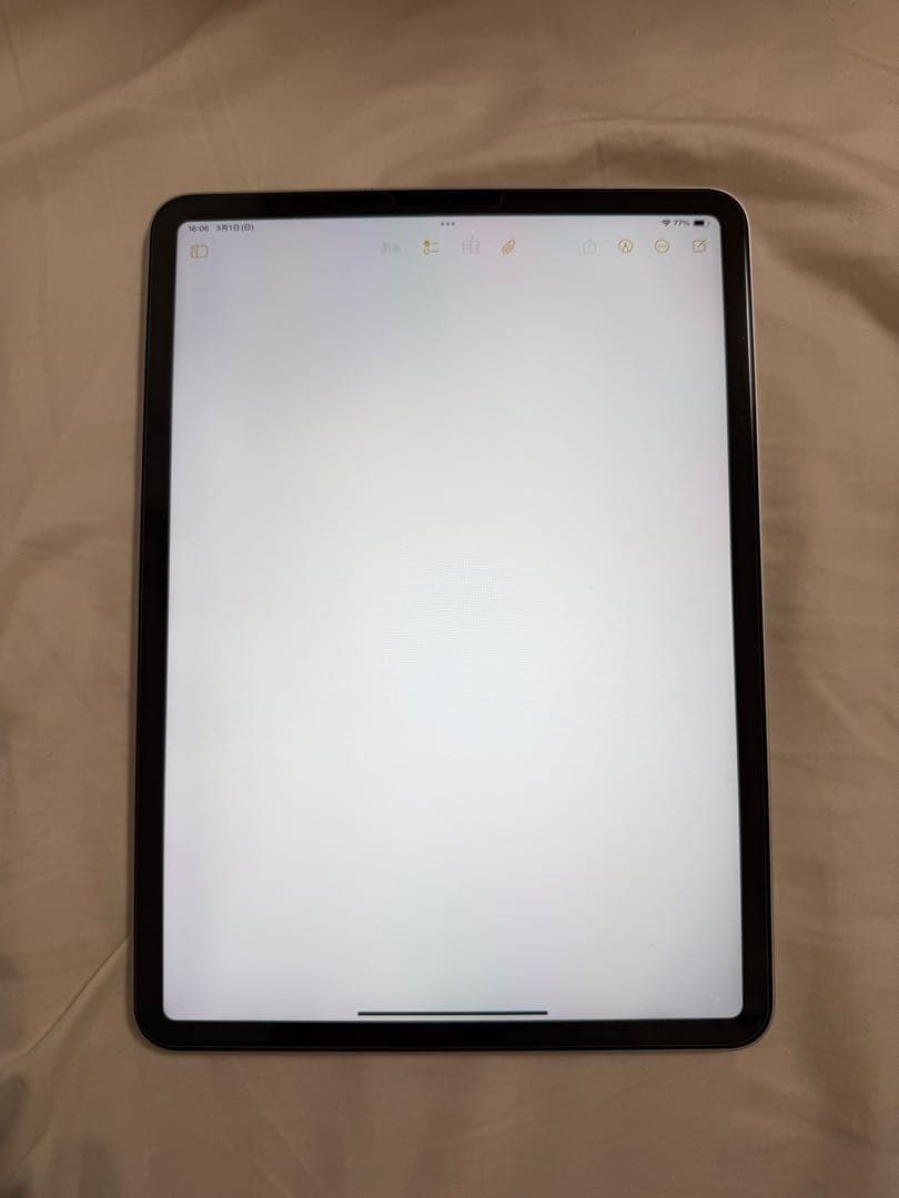 【昴】iPad Pro 11インチ