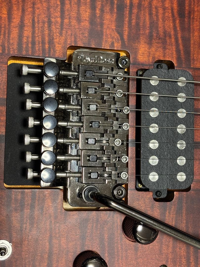ギター Schecter Banshee Elite 7 FR Sustainiac