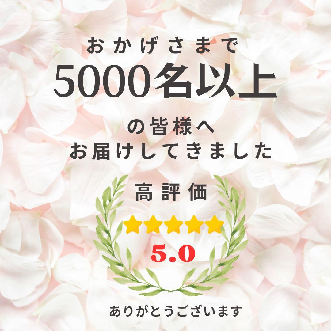 【光触媒加工】ナチュラルドライスタイルスワッグ｜ホワイトローズとプロテアスワッグ