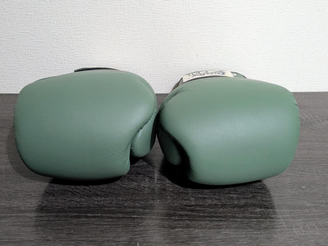 Fairtex ムエタイ ボクシンググローブ BGV1 14oz グリーン 美品