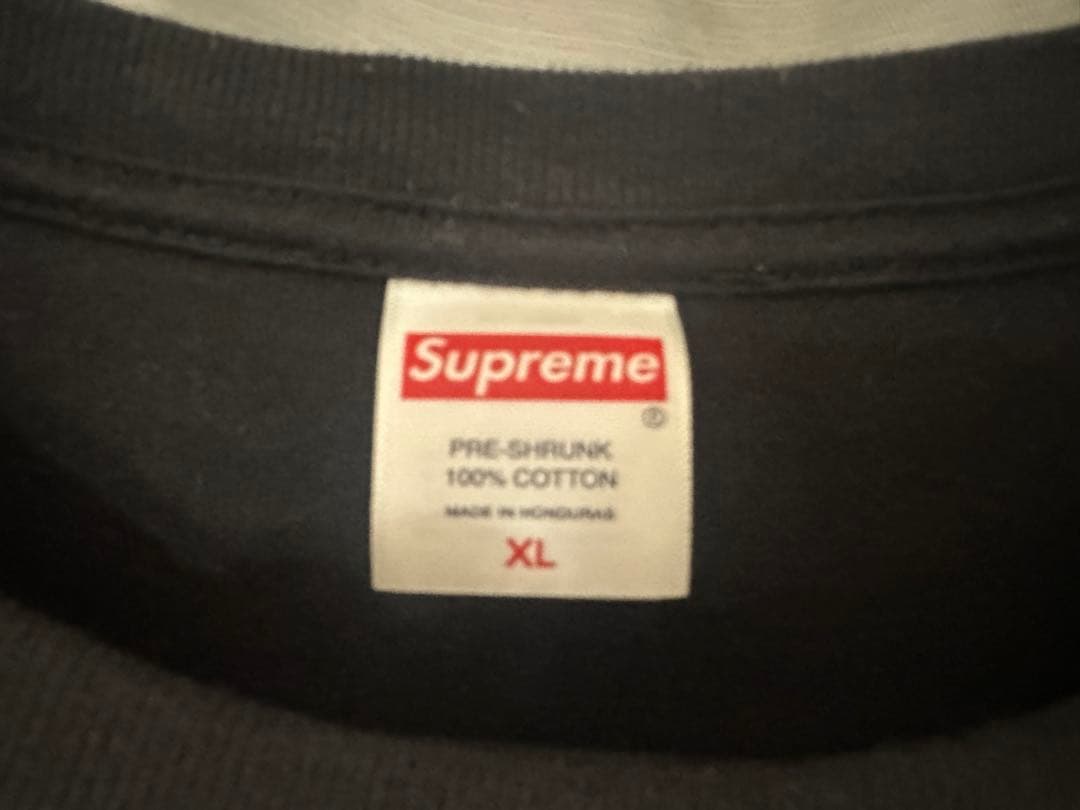 SUPREME シュプリーム　25SS Damien Hirst XL