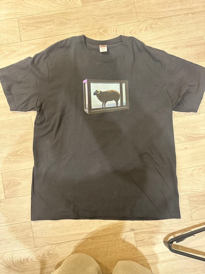 SUPREME シュプリーム　25SS Damien Hirst XL