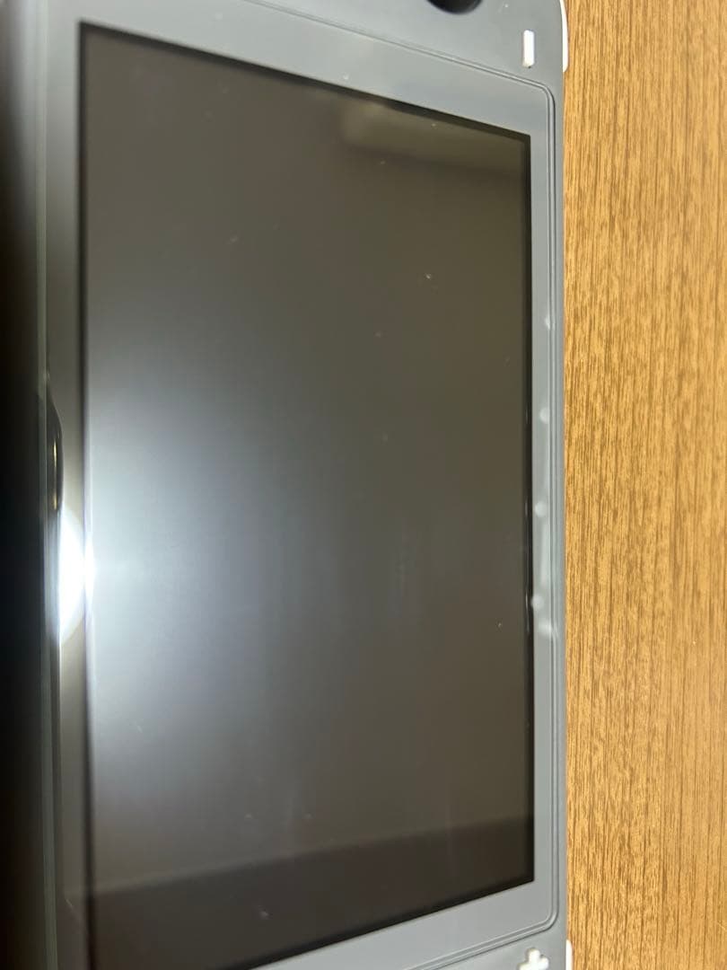 Nintendo Switch Lite 本体 動作確認済み 初期化済み