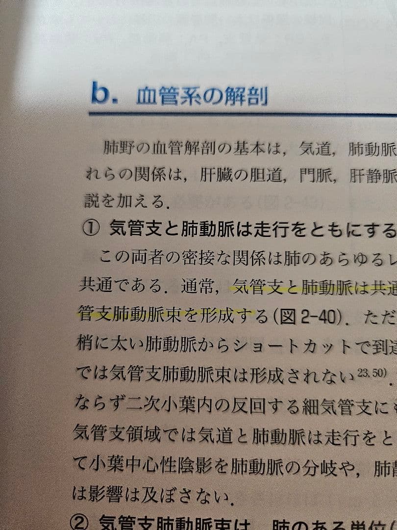 胸部のCT 第4版