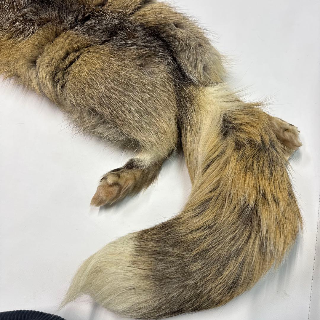 JINDO フォックスファー　きつね　狐　顔付き毛皮マフラー　ティペット　新品