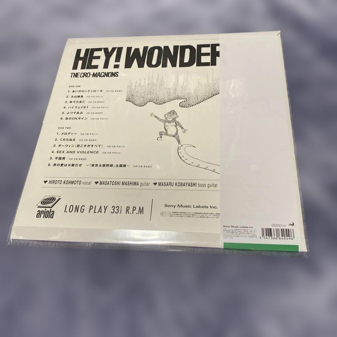 ザ・クロマニヨンズ　hey wonder! レコード　缶バッジ付　新品未開封