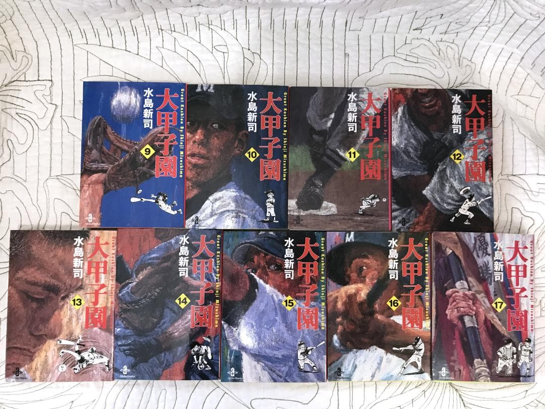 文庫「大甲子園」全17巻セット 水島新司