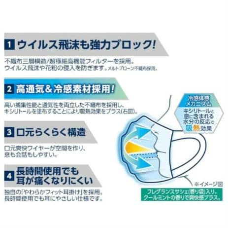 エリエール ハイパーブロック マスク ムレ爽快クーリッシュ ふつうサイズ 80袋