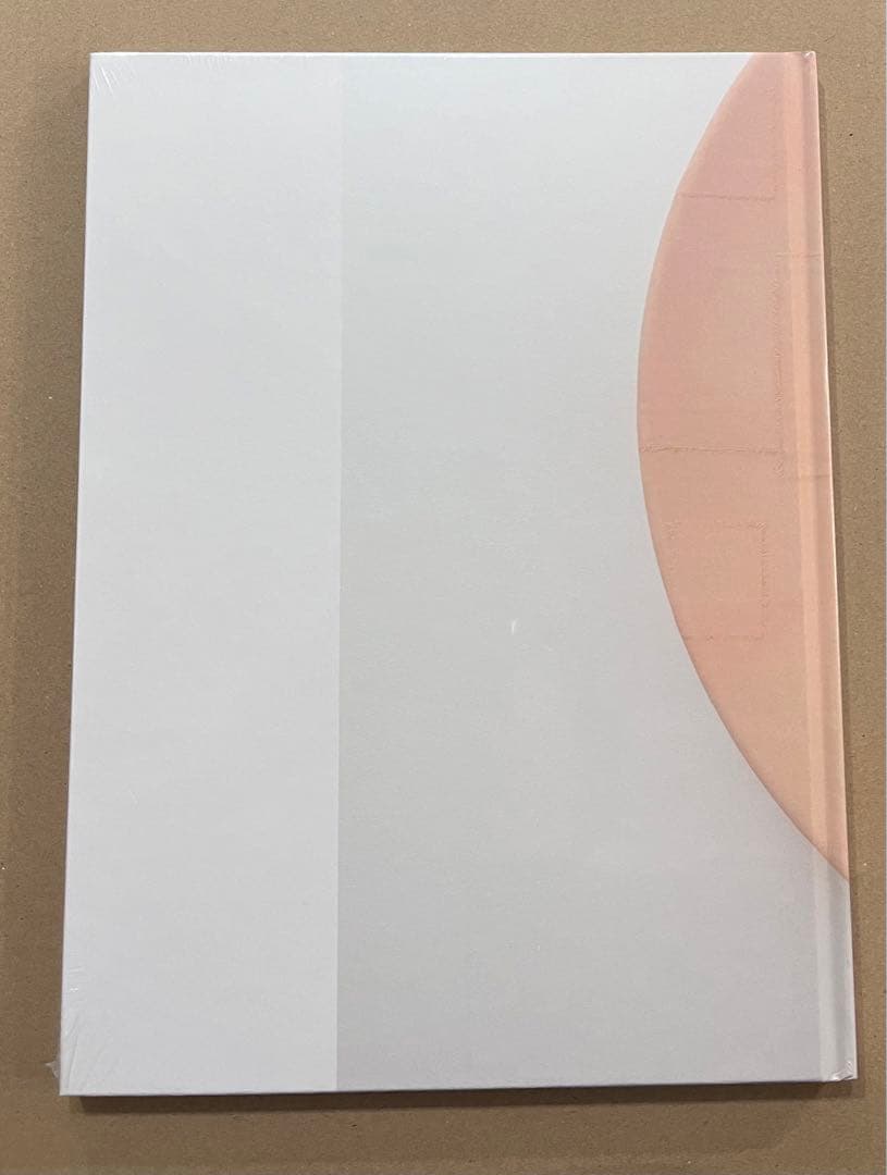 Yoshitomo Nara Shallow Puddles 奈良美智　送料無料