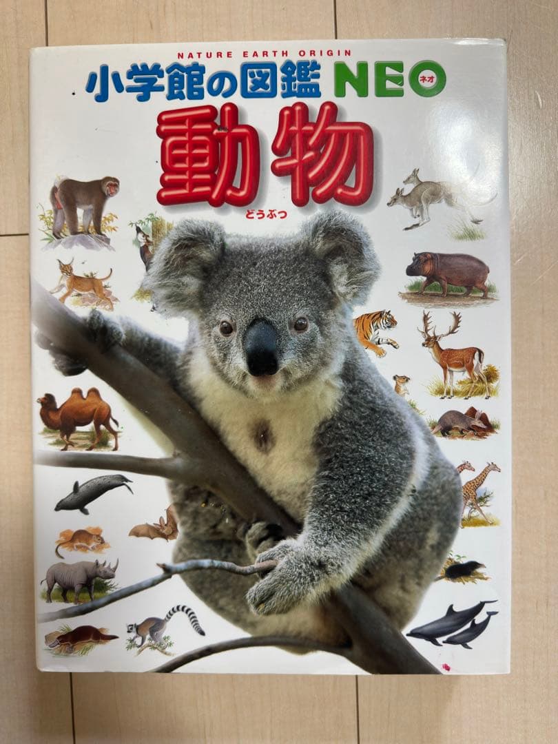 【図鑑】小学校の図鑑 NEO 【全9巻】