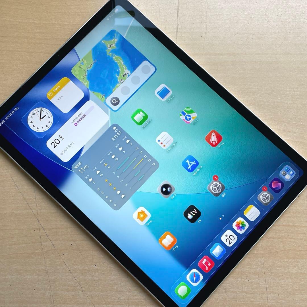iPad Pro 11インチ　第2世代　シルバー　128GB 超美品　#9