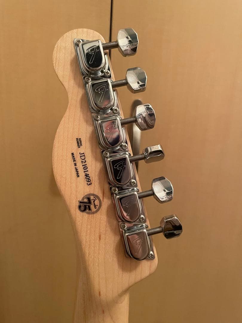【t*_m*】Fenderテレキャスター シンライン
