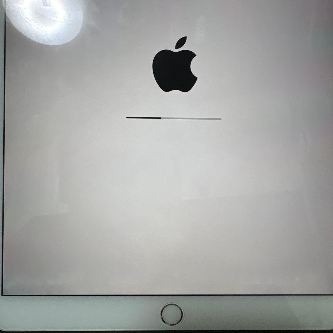 Apple iPad Air3 シルバー 本体256GB Wi-Fi セルラー