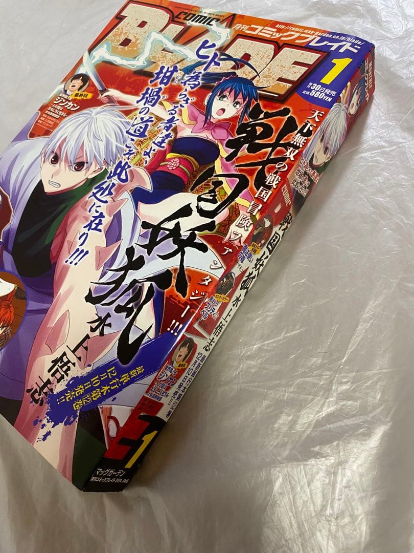 月刊コミックブレイド 2014年 1月号 新連載 魔法使いの嫁