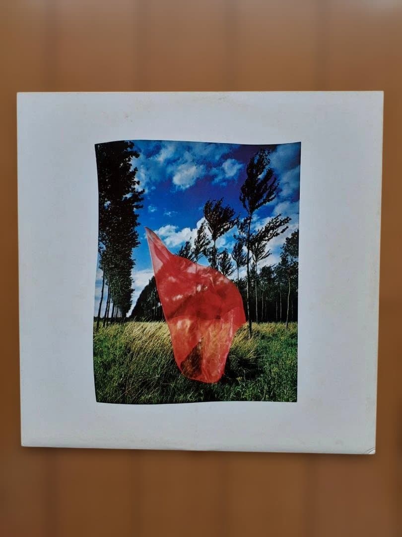 Pink Floyd 2枚組レコード