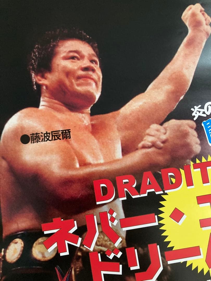 ドラディション 藤波辰爾×アントニオ猪木　ネバーエンディングツアー・ポスター