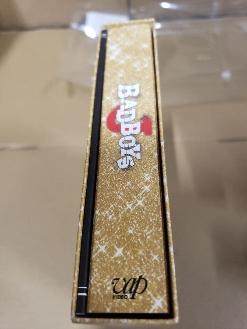 BAD BOYS J DVD BOX 中島健人