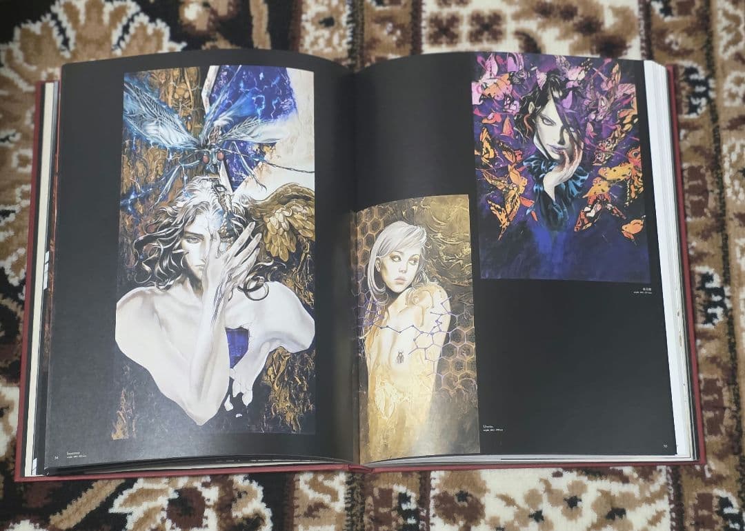 緋いユリ 小島文美画集 表紙破れあり