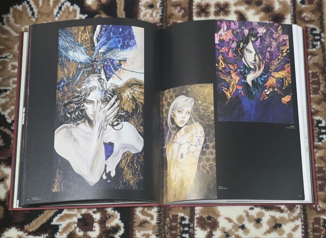 緋いユリ 小島文美画集 表紙破れあり