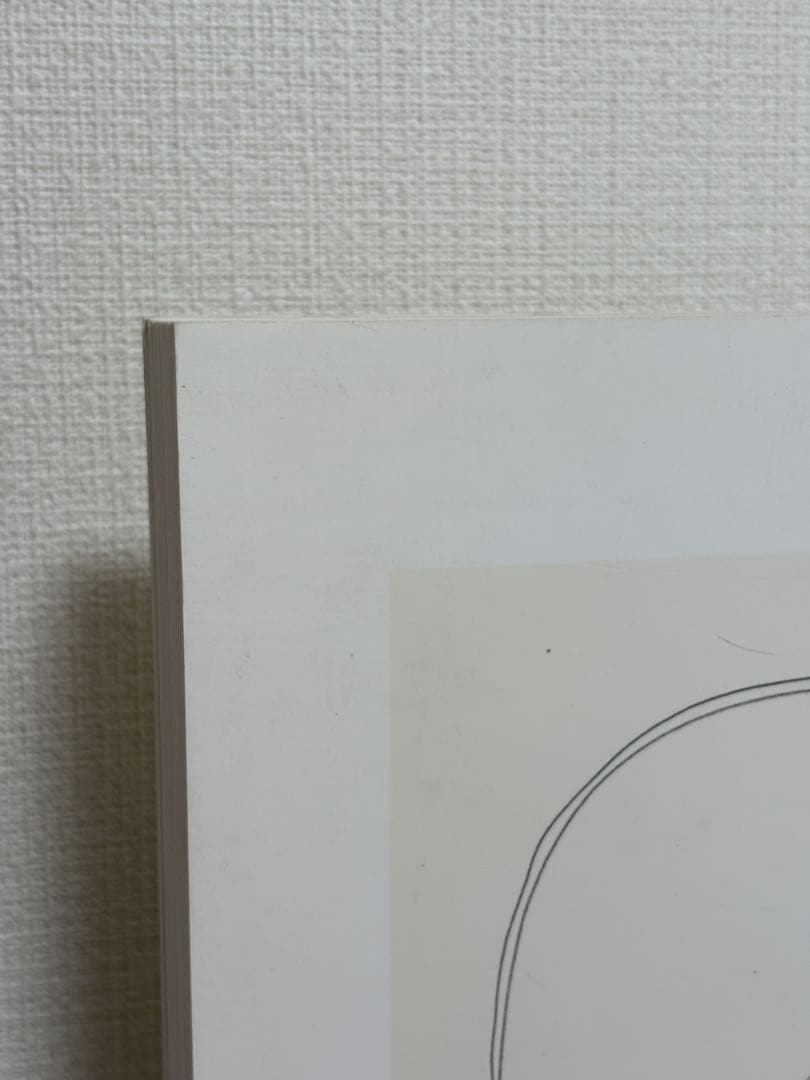 アート・デザイン・音楽 Ellsworth Kelly Plant Drawings