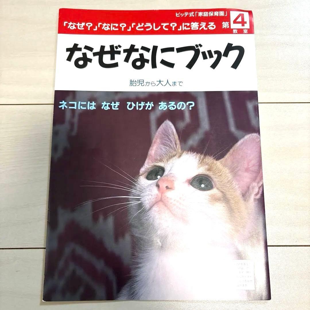 絵本★なぜなにブック全22巻★家庭保育園