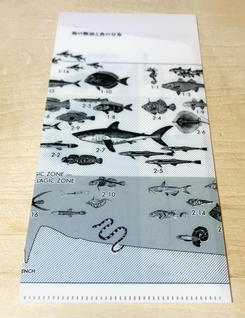 サカナクション 魚図鑑 完全生産限定盤 プレミアムBOX 3CD+魚大図鑑+特典