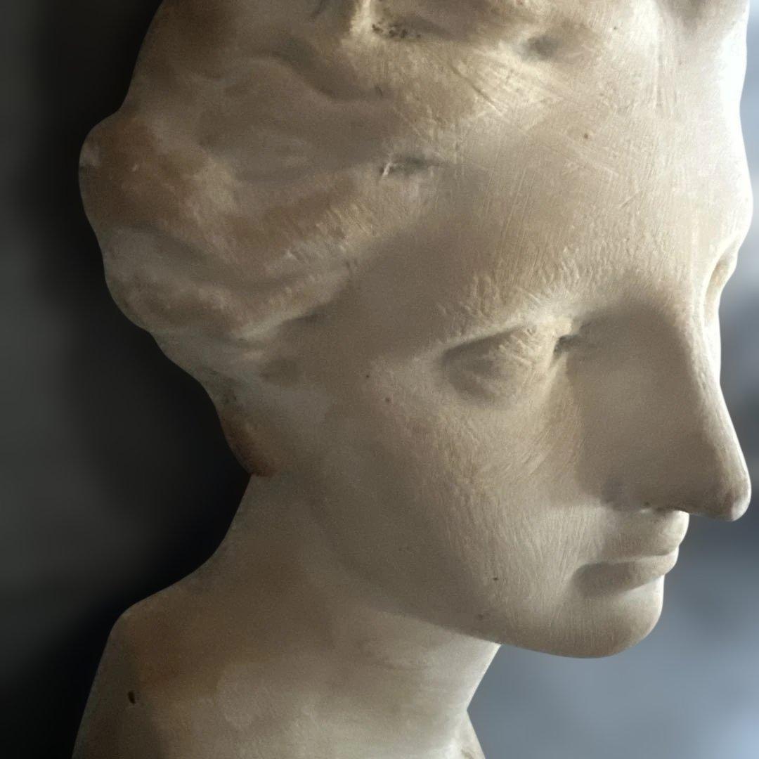 女性の頭部像 石膏製 約30cm