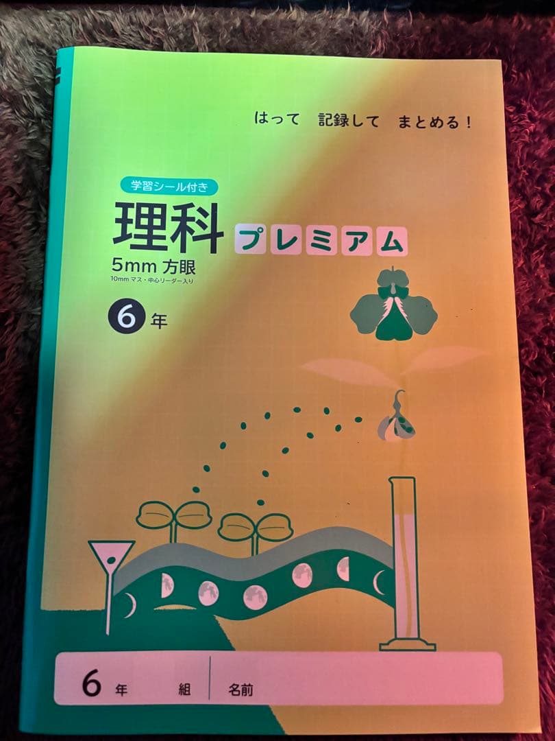 小学生 6年生 教科書 一式セット