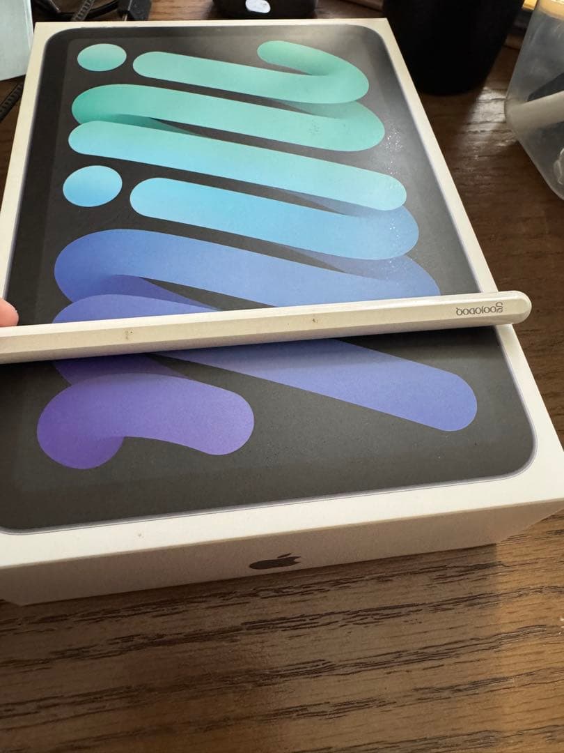 iPad mini 第6世代 256GB Cellular 本体