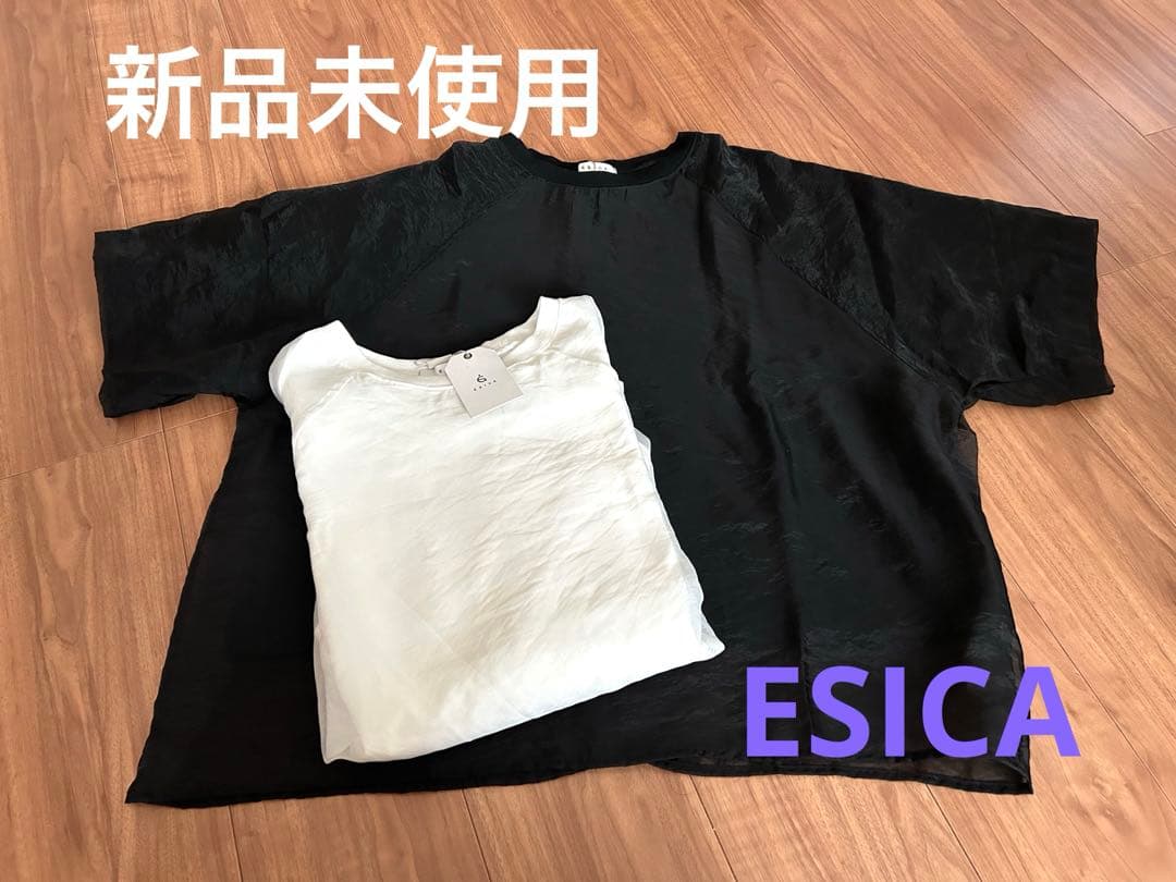 【新品未使用】ESICA シアーレイヤードTシャツ2枚セット　ホワイト　ブラック