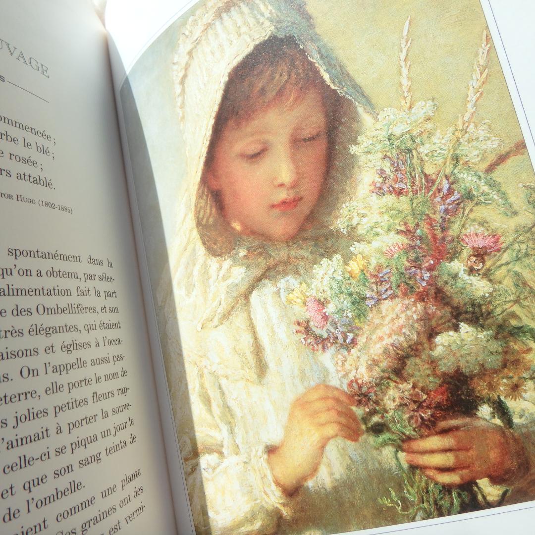 Le Langage des Fleaurs Sauvages　花言葉　仏語洋書