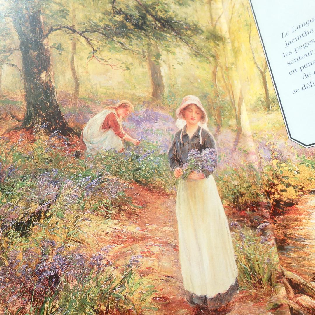 Le Langage des Fleaurs Sauvages　花言葉　仏語洋書