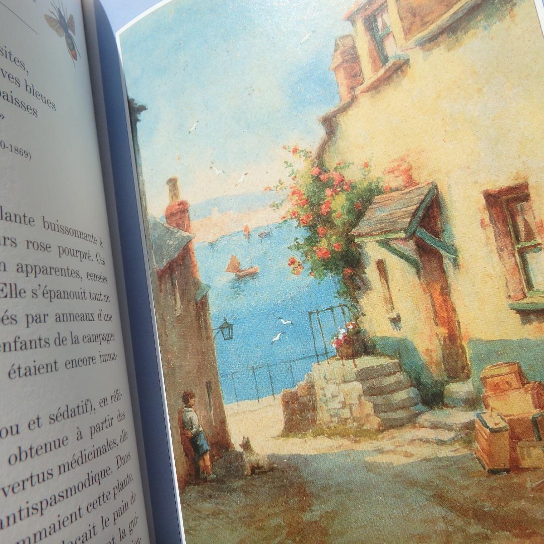 Le Langage des Fleaurs Sauvages　花言葉　仏語洋書