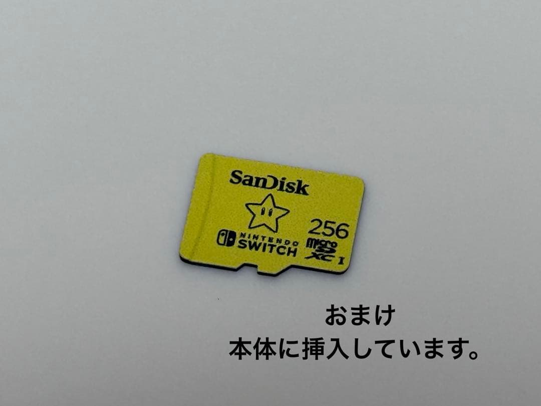 Nintendo switchあつまれどうぶつの森 セット