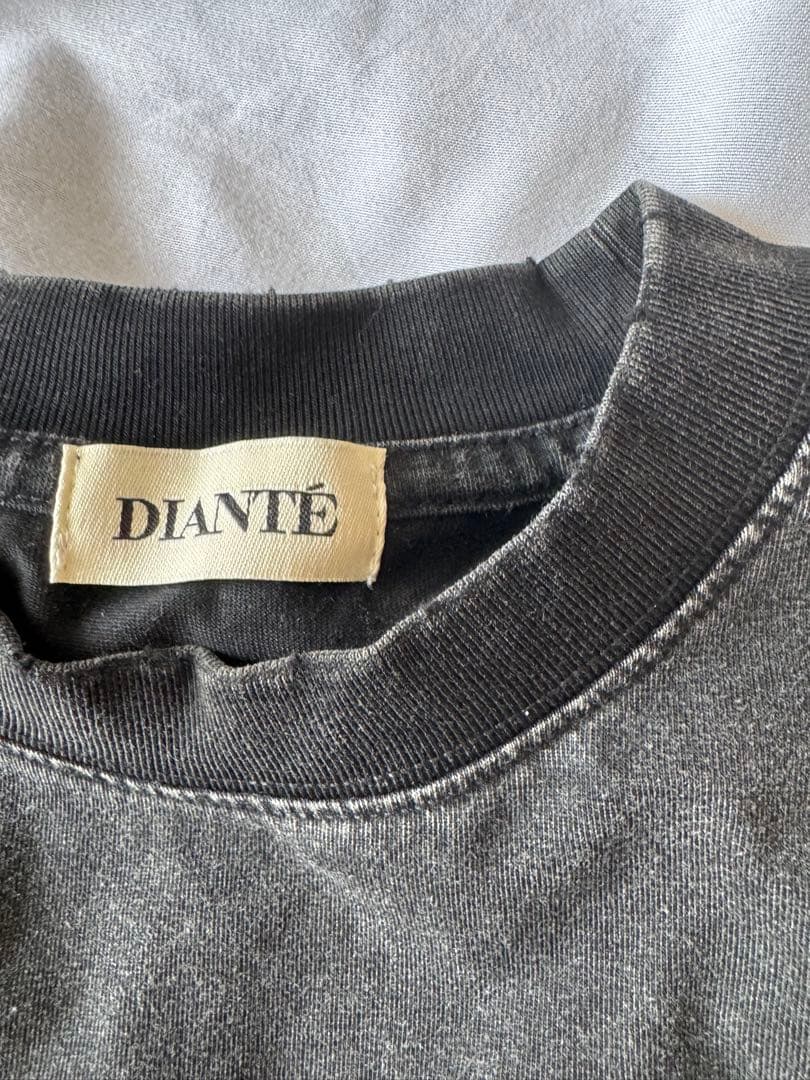 DIANTÉ ストーン装飾 クロップドTシャツ