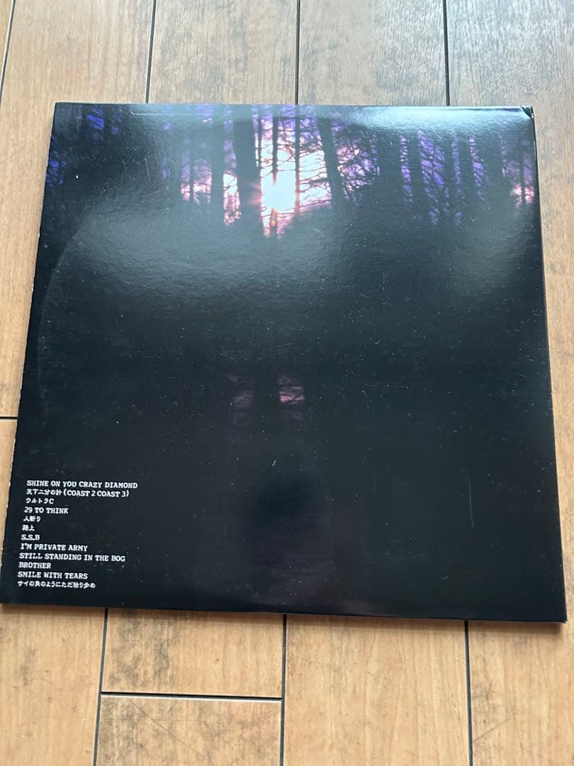 その他 THA BLUE HERB SELL OUR SOUL 2LP