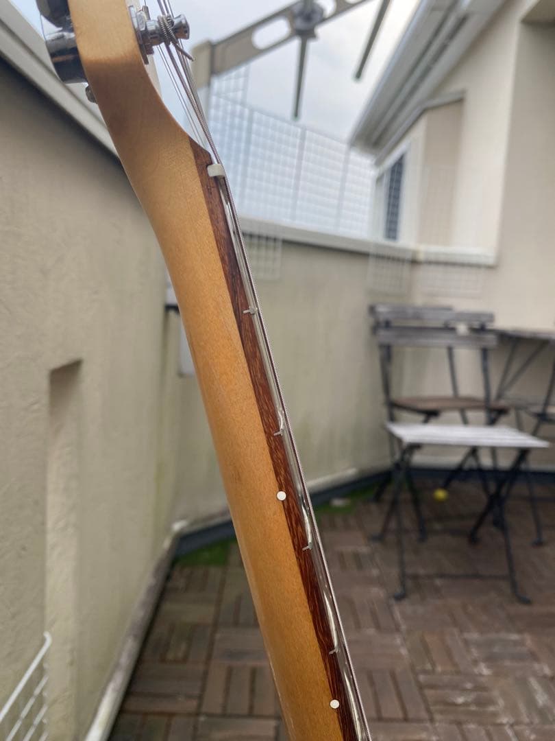 ギター FERNANDES The Revival, R S T Series.