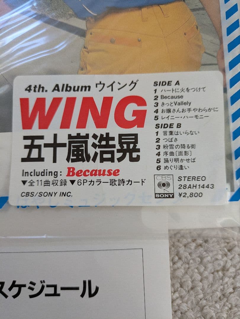 五十嵐浩晃 Wing LPレコード