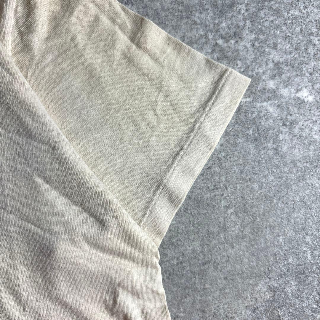 Hanes Vintage 90s ZIPPY アメコミ T イギーポップ着