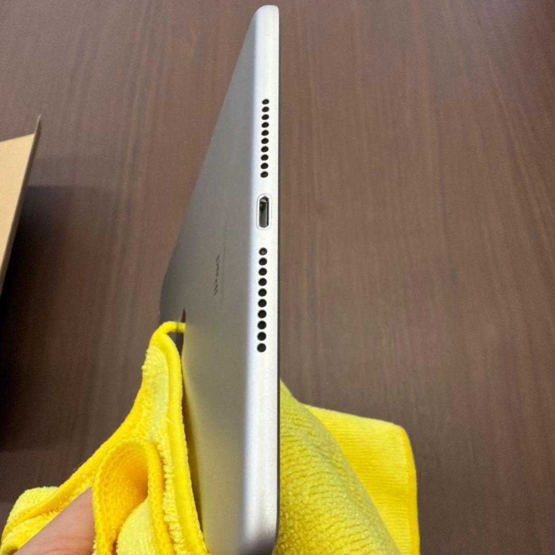 Apple iPad mini５Wifi+Cellular 64GB 純正pen