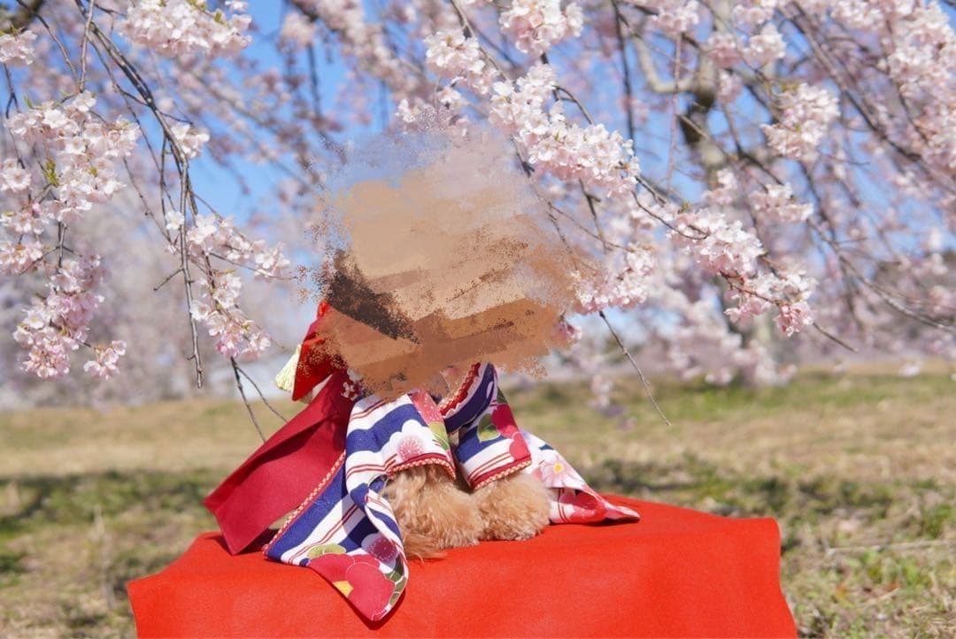 わんちゃん用　袴