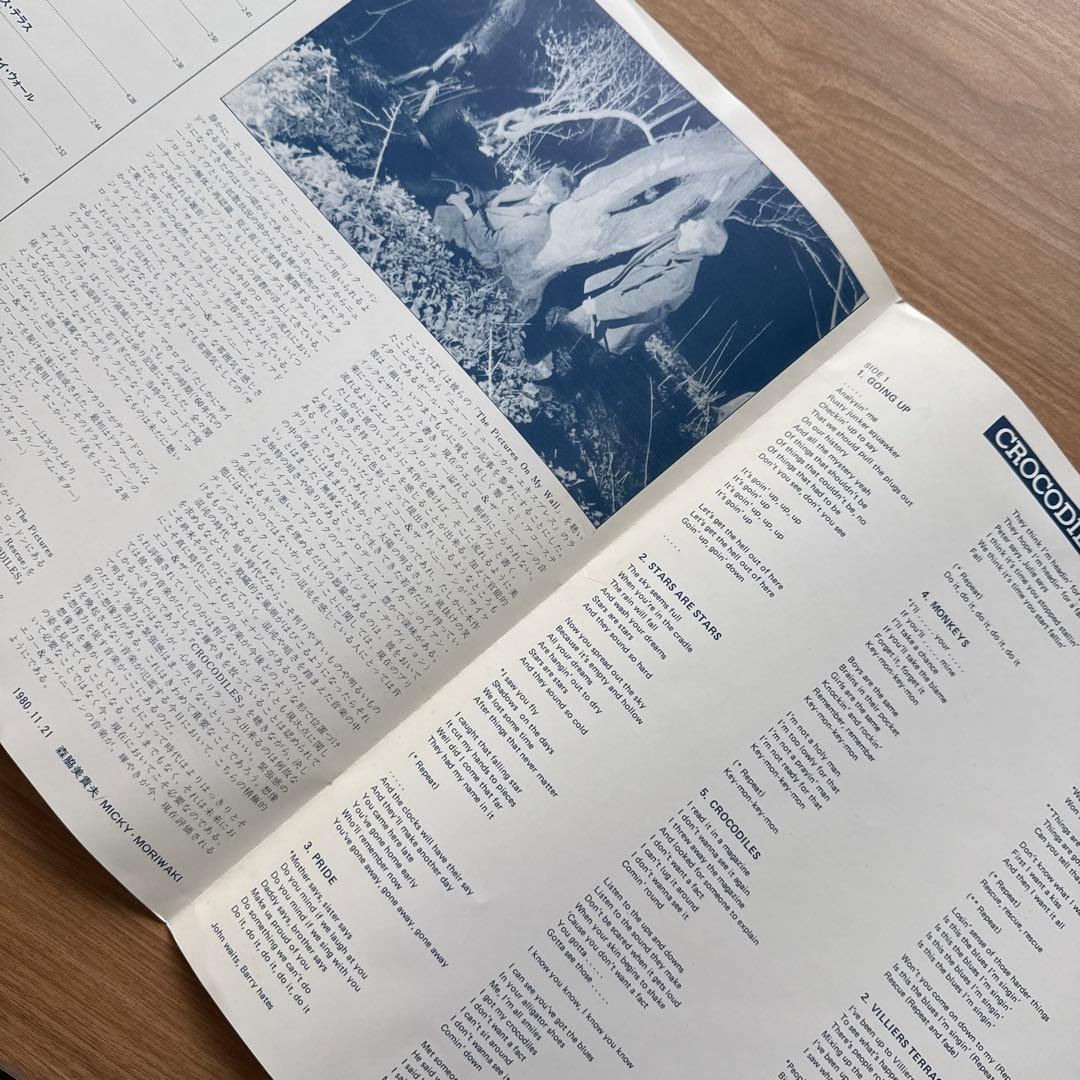 Echo And The Bunnymen – Crocodiles