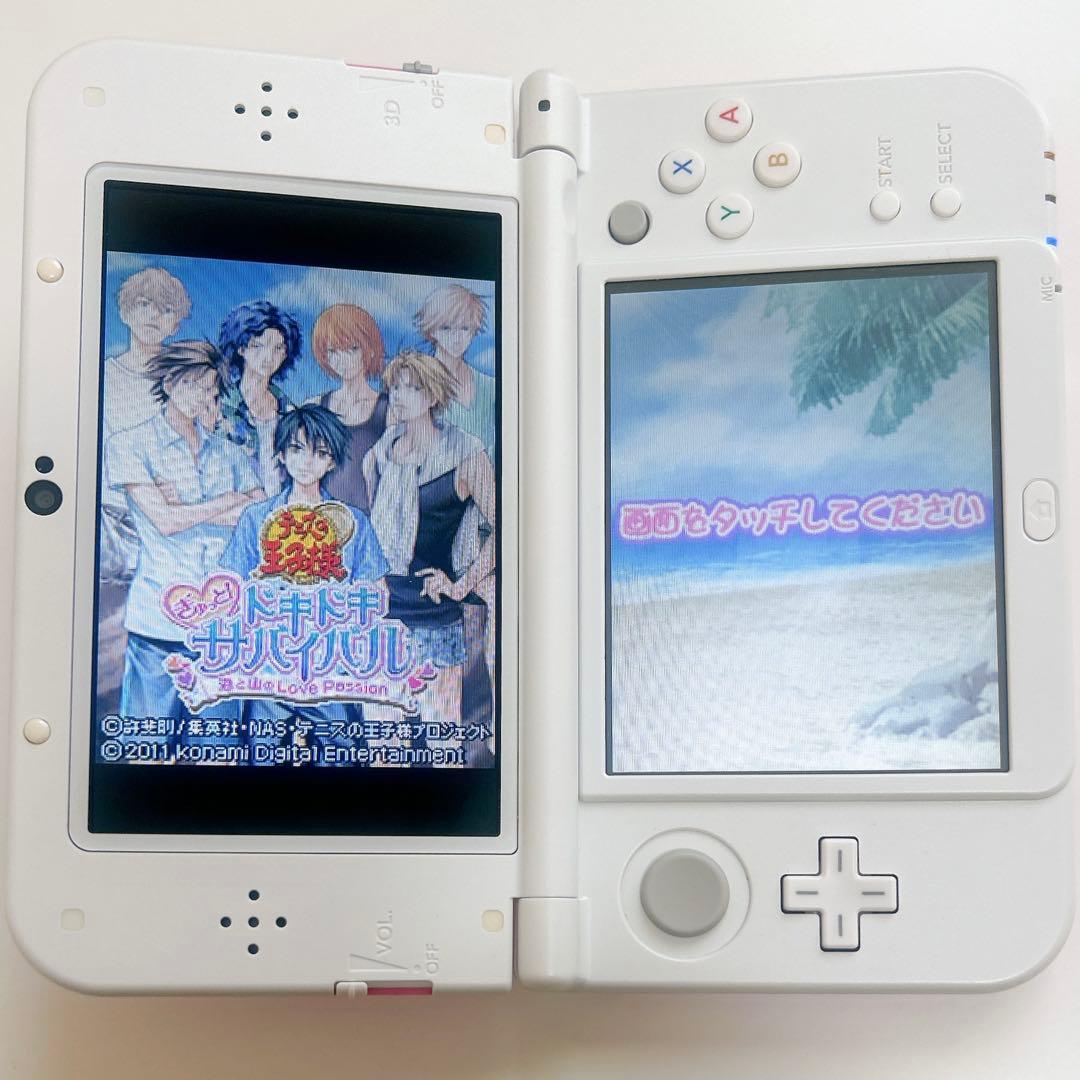 テニスの王子様　DSソフト ドキドキサバイバル　学園祭の王子様　2点セット