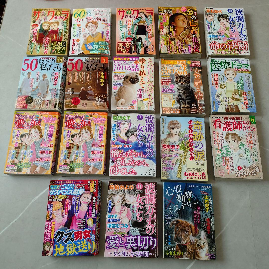 レディースコミック１８冊　　②